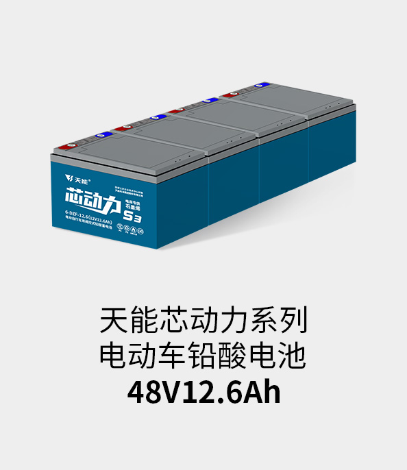 9761国际游戏电池48v12ah