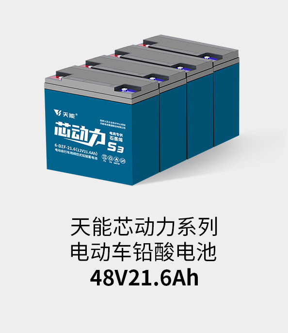 9761国际游戏电池48v20ah