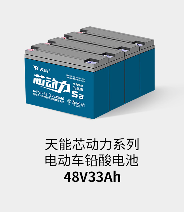 9761国际游戏电池48v32ah