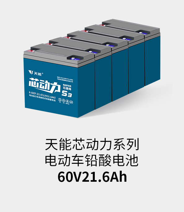 9761国际游戏电池60v20ah