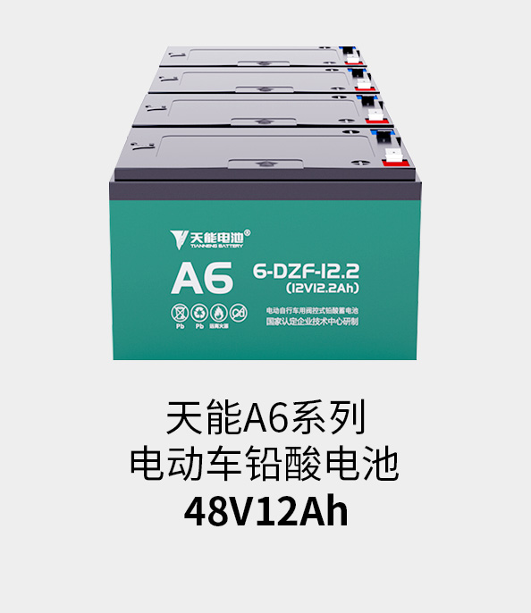 9761国际游戏电池48v12ah