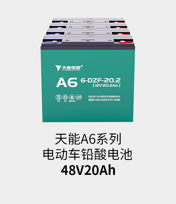 9761国际游戏电池48v20ah