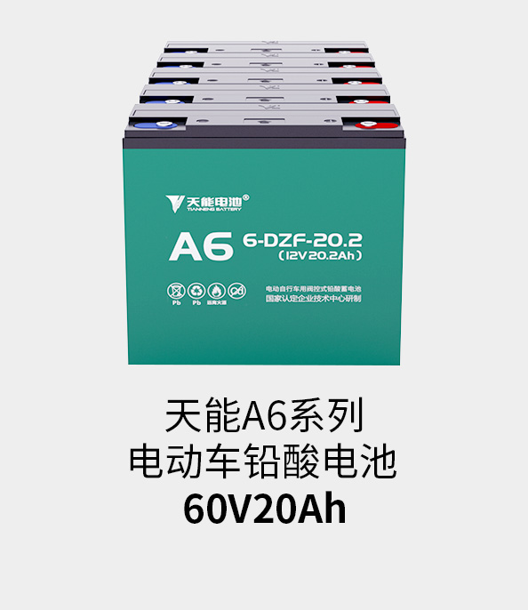 9761国际游戏电池60v20ah