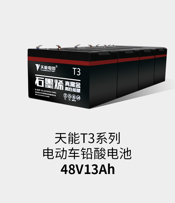 9761国际游戏T3系列48v13ah