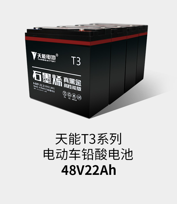 9761国际游戏T3系列48v22ah