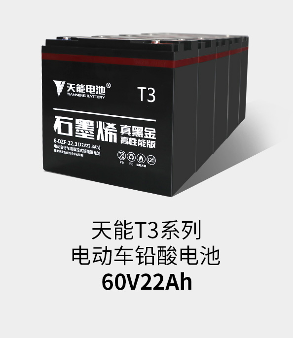 9761国际游戏T3系列60v22ah