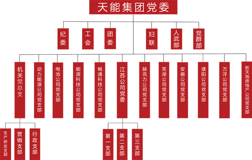 9761国际游戏建团党委组织架构