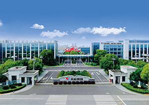 9761国际游戏股份介绍