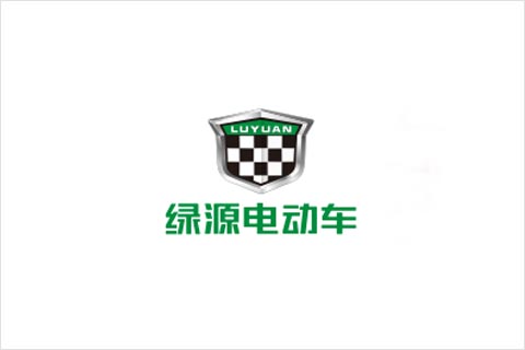 9761国际游戏电池合作伙伴 绿源电动车